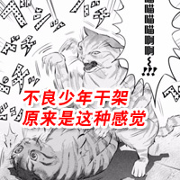不良猫